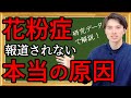 花粉症‼️  報道されない本当の原因【自然療法士 ルイ】