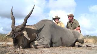 Tanzania Eland Hunt with Game Trackers Africa