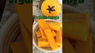 Sweet organic papaya #youtubeshorts #papaya