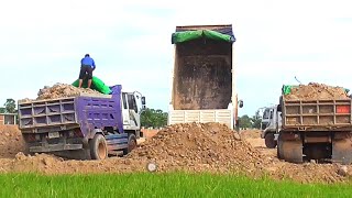 Amazing Landfilling Farmland​​​​ in Flooded Areas use Bull. KOMATSU and Dump Truck Working Together