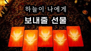 [타로] 하늘이 내게 줄 선물같은 일