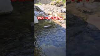 강원도 신선봉 아래 도원리계곡입니다.#도원리#강원도고성계곡