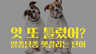 앗 또 틀리게 썼네? 쓸 때마다 헷갈리는 단어 총정리.