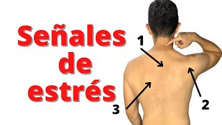 Los 3 puntos musculares del estrés