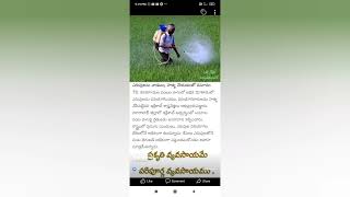 chemical fertilizers effects#రసాయన ఎరువులు వల్ల ప్రమాదాలు#