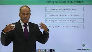 Python - Passing From Data to CGI Program