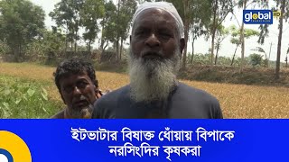 ইটভাটার বিষাক্ত ধোঁয়ায় বিপাকে নরসিংদির কৃষকরা | Global TV News