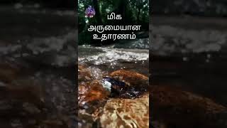 நம் மனநிலை எப்பொழுதும்  தண்ணீர் போன்று ஒரே நிலையாக இருக்க வேண்டும் இன்ஷா அல்லாஹ்