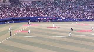 6分間にわたる　ヤクルトスワローズ　夏祭り(チャンステーマ) 4/5