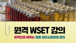 원격으로 배우는 와인 소믈리에 강의 WSET는 와인비전에서