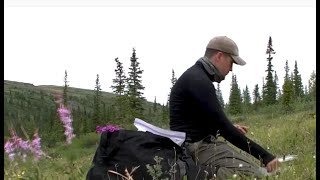 Exploration de la biodiversité végétale le long de la rivière Coppermine au Nunavut