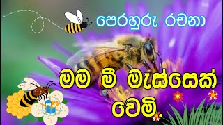 මී මැස්සෙක් කතා කරයි   l mee massek katha karai l පෙරහුරු ශිෂ්‍යත්ව රචනා  l  sinhala rachana