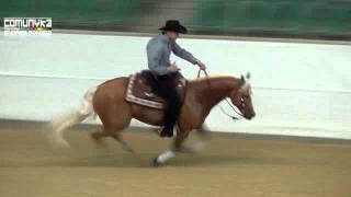 OPEN-Bernard Fonck-Kitas Spark-NRHA European Futurity 2011