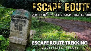 Escape Route നടന്നു പോകാം 🔥Munnar To Kodaikanal Escape Route Trekking #escaperoute #munnar #kodai