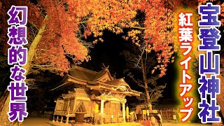 長瀞宝登山神社 紅葉ライトアップ/黄金に輝く御本殿/秩父/埼玉観光旅行vlog