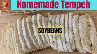Soybean Tempeh - Meat Alternative | Cold Climate Using Heater