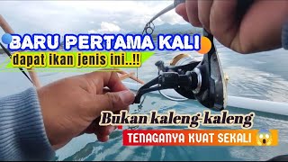 EDYAAN TARIKANNYA.!!! BARU KALI INI DAPAT SAMBARAN IKAN BESAR JENIS INI, TENAGANYA KUAT SEKALI.😱