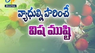 మేలైన ఆరోగ్యానికి విష ముష్టి.... | సుఖీభవ | 15 మార్చి  2017 | ఈటీవీ తెలంగాణ