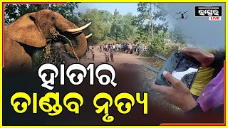 ଛାମୁଣ୍ଡା ମୁଣ୍ଡା ସାହି ଜଙ୍ଗଲରେ ୧୦ ଘଣ୍ଟା ଧରି ହାତୀର ତାଣ୍ଡବ, ଲୋକେ ଆତଙ୍କିତ