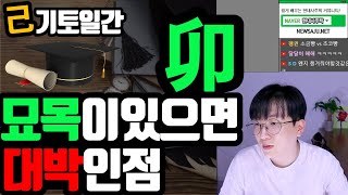 기토일간 묘목 편관이 있을 때 / 타고난 것을 활용해야 성공한다