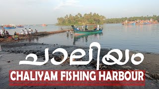 CHALIYAM FISHING HARBOUR  -  ചാലിയം മീൻ മാർക്കറ്റ്