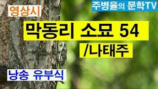 (영상시) 막동리 소묘 54 - 나태주 시인 - 유부식 낭송(2020. 02. 09)