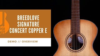 BEST BUDGET ACOUSTIC?? | Breedlove Organic Series Signature Concert Copper E