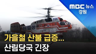 [뉴스리포트]가을철 산불 급증 221024