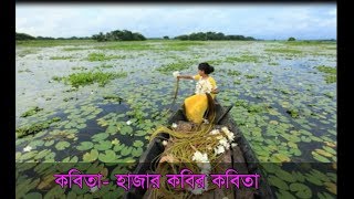 অসাধারণ কবিতা- হাজার কবির কবিতা।কবি- সেলিম নূর( Selim Nur) আবৃত্তি- জাহানারা বেগম রেখা