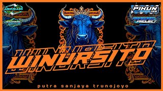 DJ BANTENGAN 🆕 WINURSITO 'PUTRA SANJAYA TRUNOJOYO' REMIXERBY @arpedamproject