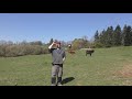 forêt comestible des récoltes toute l année