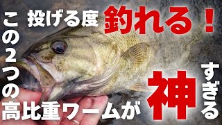 圧倒的反応！もうこの2つのワームがあれば他はいらないんじゃないかってぐらい釣れる高比重ワーム「バス釣り」「釣り方」「スモールマウスバス」「秋」