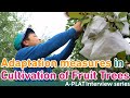 【Interview】Adaptation measures in Cultivation of Fruit Trees (Iwate Pref.)