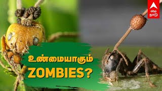 Real Zombies | உண்மையாகும் zombies?