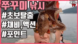 l 쭈꾸미낚시 l 채비, 액션, 꿀팁 l 입문자들은 꼭 보세요 l [Octopus ocellatus, duǎnshāo, 飯蛸]