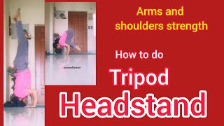 How to do Tripod Headstand l Tripod Headstand, Yoga Pose l Arms Strength l Shoulder Strength
