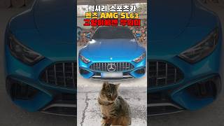 시골에서 벤츠 AMG SL63응 주차하면?