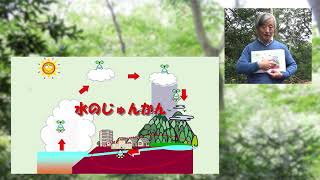 小学校教員向け環境教育研修会「やってみよう！環境学習プログラム」講義「森は命のみなもと」