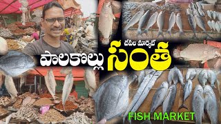 Palakollu santha fish market పాలకొల్లు సంత చేపల మార్కెట్