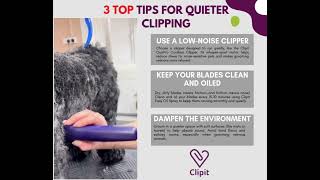 📣 Grooming nervous dogs? Here's your secret weapon! 🐶✂️