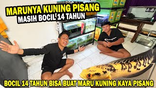 BOCIL 14 TAHUN? BUAT MARU KUNING PISANG DAN LIMBATA JUARA 4 DI KONTES @DEKNA