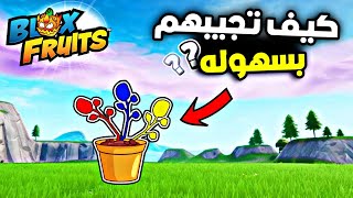 اماكن رسبون الورود ( أسهل اماكن ) 🔥 بلوكس فروت روبلوكس Blox Fruit