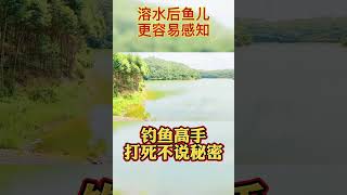 钓鱼高手打死不说的几大秘密