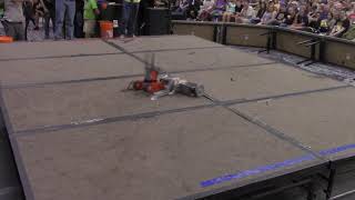 66 12lb Final Tuskin' Raider Vs T Boner