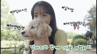 🐶 강아지와 함께하는 가평여행 🐾  | 가평 반려동물동반식당 | 경강역레일바이크 | 남이섬 | 애견펜션 | 춘천닭갈비 | 우정여행