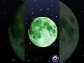 to the moon money solana memecoin animation viralshorts relatable trading cryptomemes