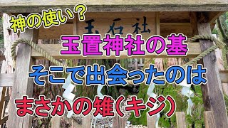 【玉置神社末社玉石社】縁がなければたどり着けない玉置神社の末社。玉置神社よりも古い歴史を持つパワースポット。