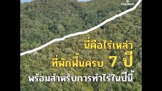 Forestbook EP65 : ไร่หมุนเวียน Ep1 เกษตรภาคบังคับ