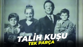 Talih Kuşu | Adile Naşit Münir Özkul Eski Türk Filmi Full İzle