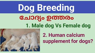 Dog breed|Dog supplements|Dog food malayalam|Dog breeding malayalam